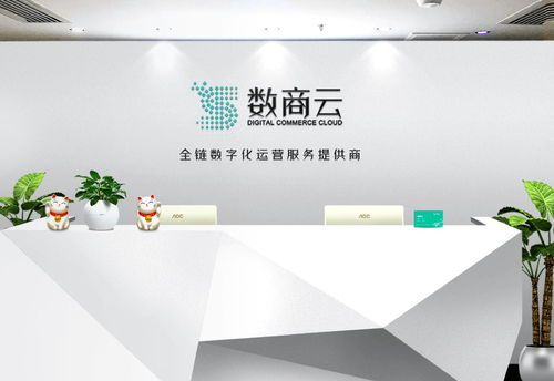 廣州市數(shù)商云網(wǎng)絡科技 專業(yè)的計算機服務解決方案