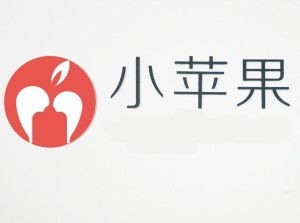 寧波小蘋(píng)果青春網(wǎng)絡(luò)科技 數(shù)字化時(shí)代的計(jì)算機(jī)服務(wù)領(lǐng)航者